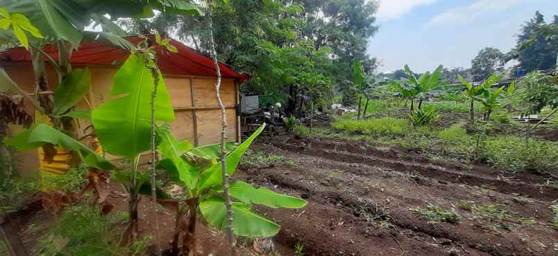 dijual tanah gandasari