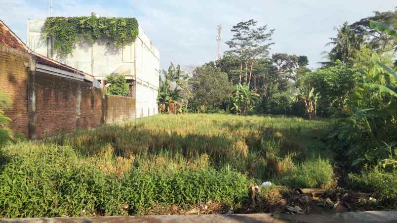 dijual tanah gg teratai no 16a