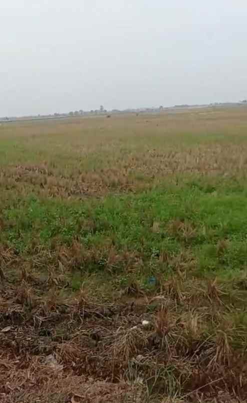 dijual tanah jalan raya indramayu cirebon