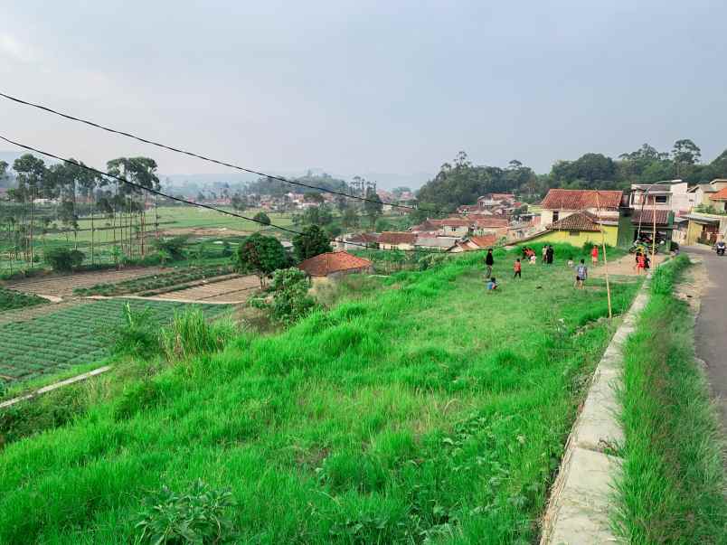 dijual tanah jalan simpang mekar jaya