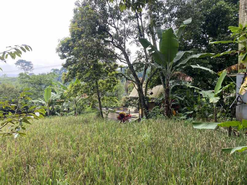 dijual tanah jl cibalung cijeruk
