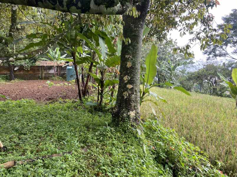 dijual tanah jl cibalung cijeruk