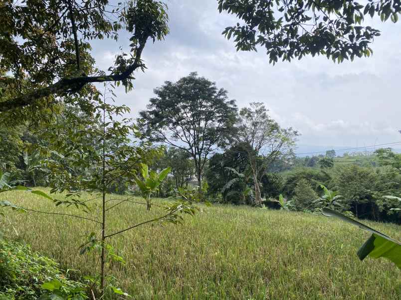 dijual tanah jl cibalung cijeruk