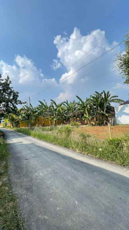 dijual tanah jl nunyai