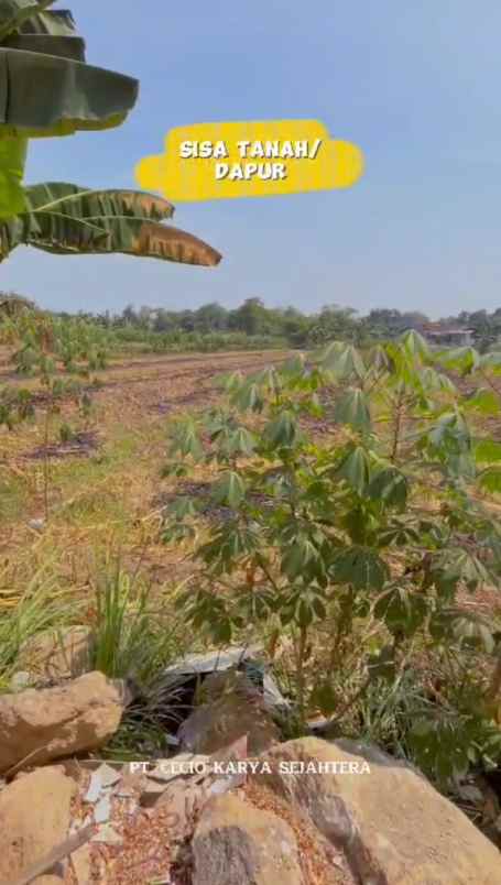 dijual tanah jl raya ngaliyan