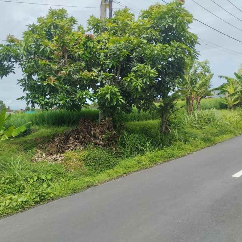 dijual tanah jl tibu biyu