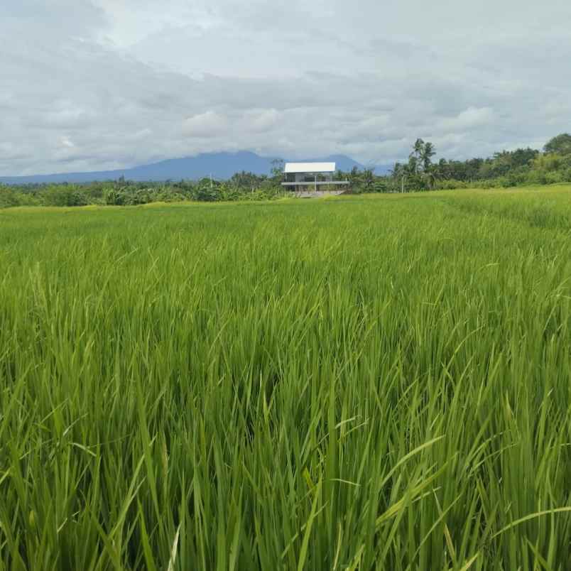 dijual tanah jl tibu biyu