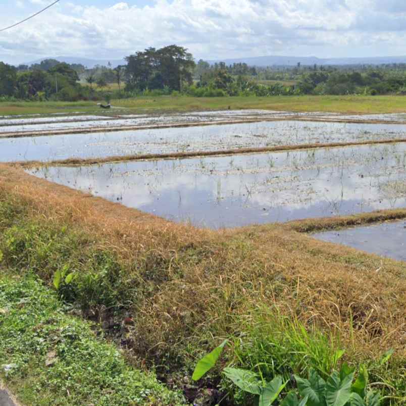 dijual tanah jl tibu biyu