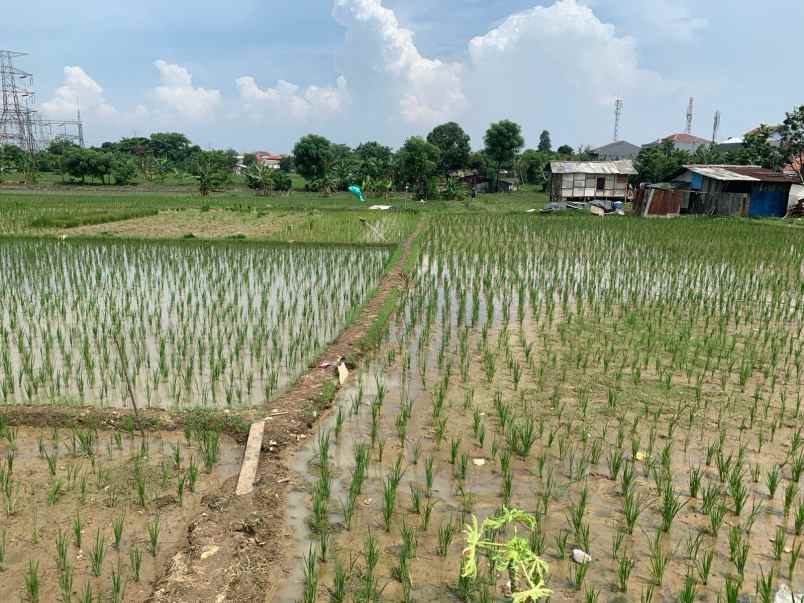 dijual tanah kalibaru medan satria