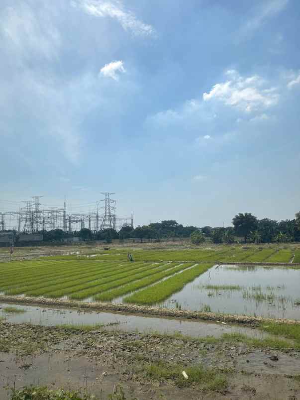 dijual tanah kalibaru medan satria