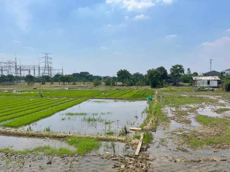 dijual tanah kalibaru medan satria