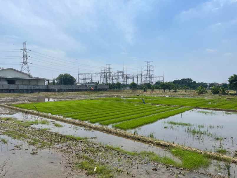 dijual tanah kalibaru medan satria