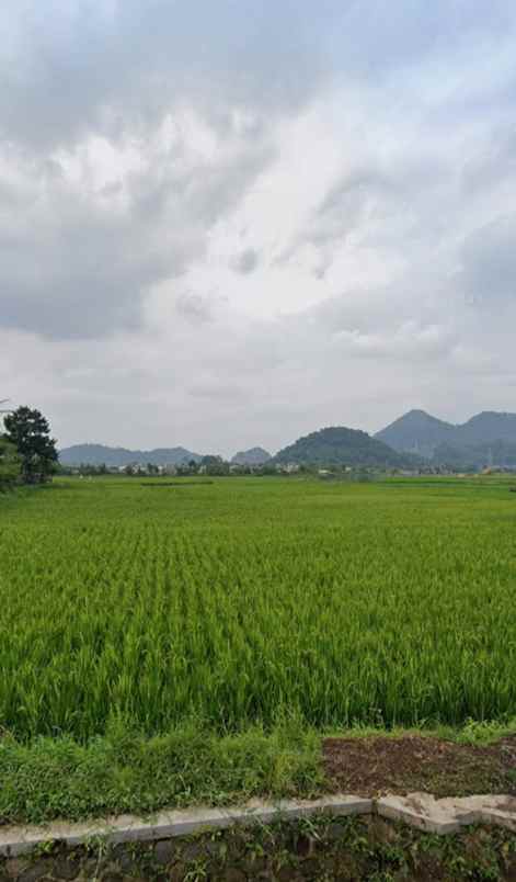 dijual tanah kampung tambakan