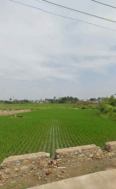 dijual tanah kampung tambakan