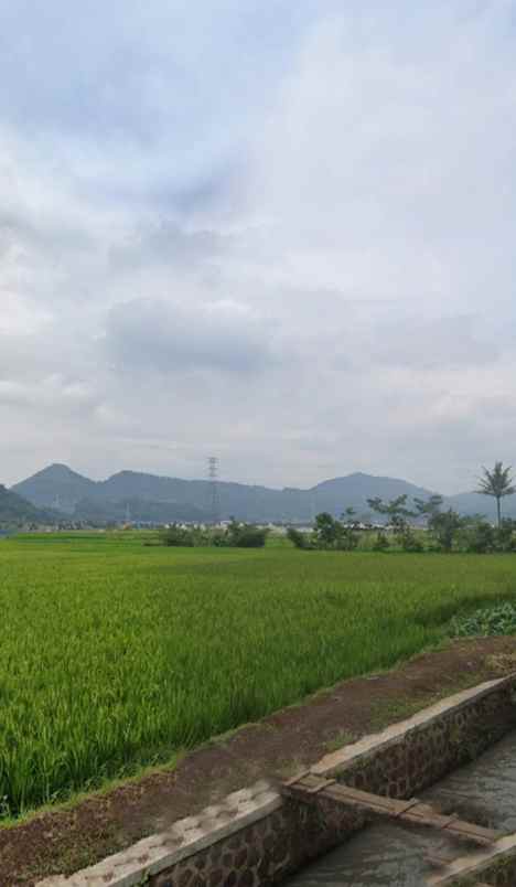 dijual tanah kampung tambakan