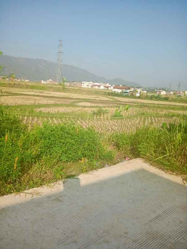 dijual tanah kampung tambakan