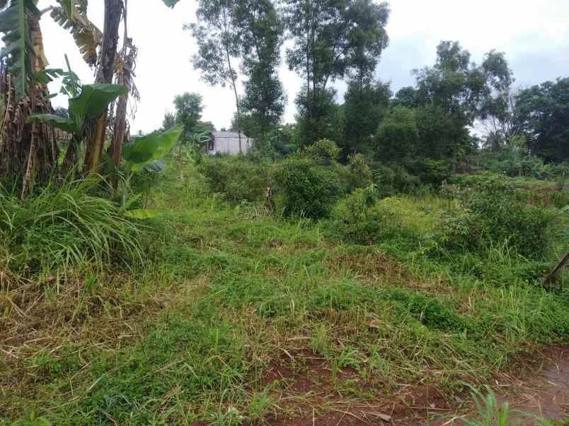 dijual tanah kavling shm disawangan depok