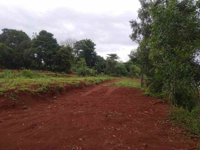 dijual tanah kavling shm disawangan depok