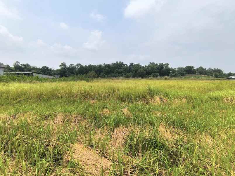 dijual tanah kawasan industri mm2100