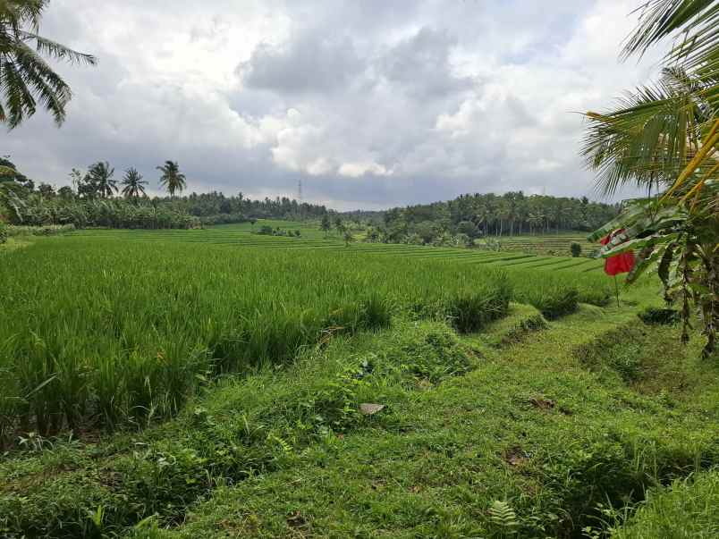 dijual tanah kec selemadeg barat kab