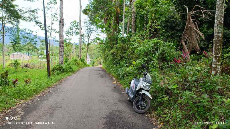 dijual tanah kedaung kemiling bandar