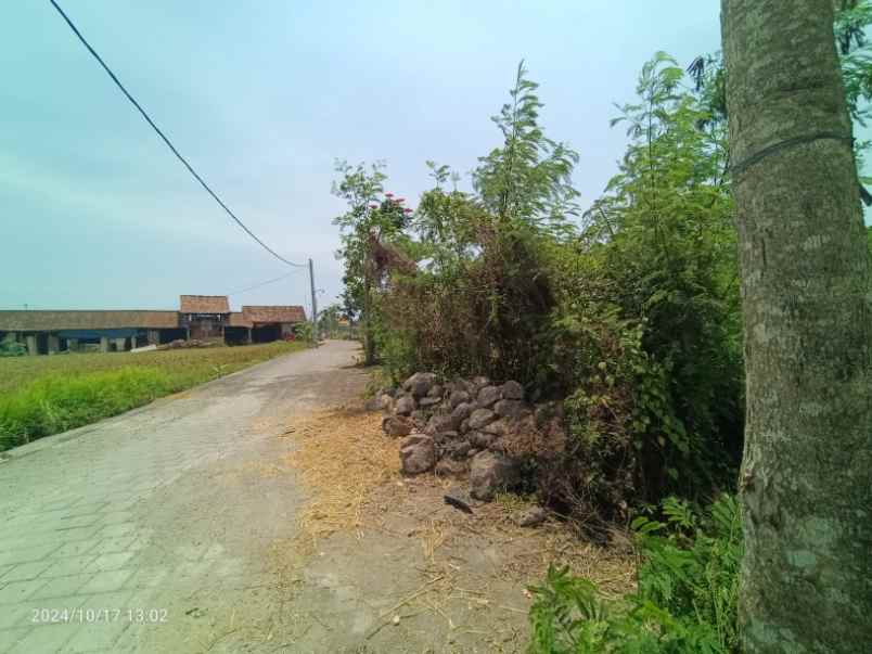 dijual tanah kedungu tabanan bali