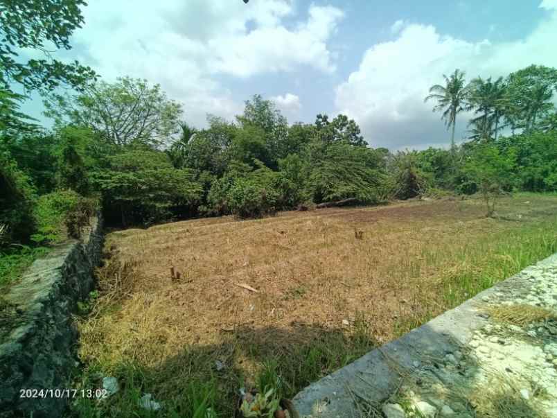 dijual tanah kedungu tabanan bali