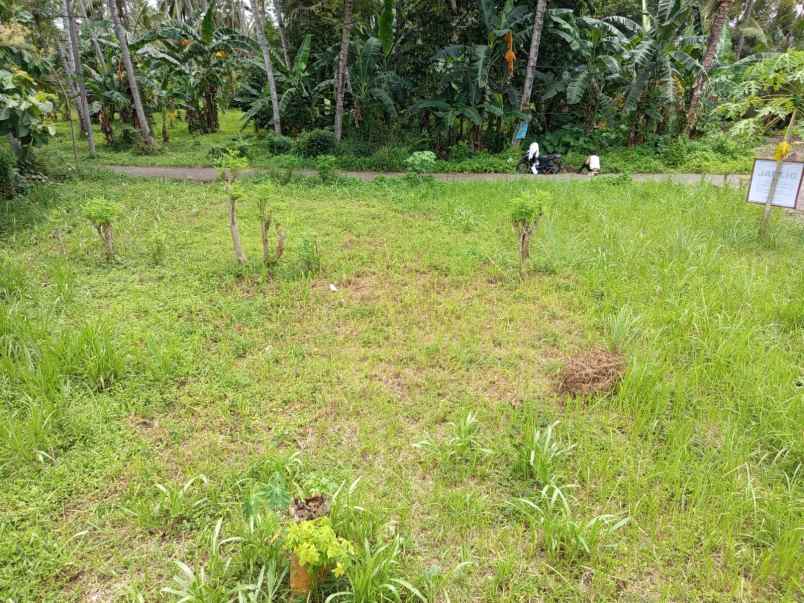 dijual tanah kelurahan kedayunan kec