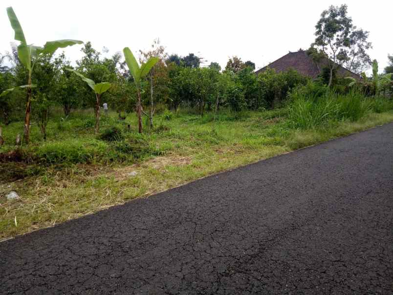 dijual tanah kintamani bangli bali