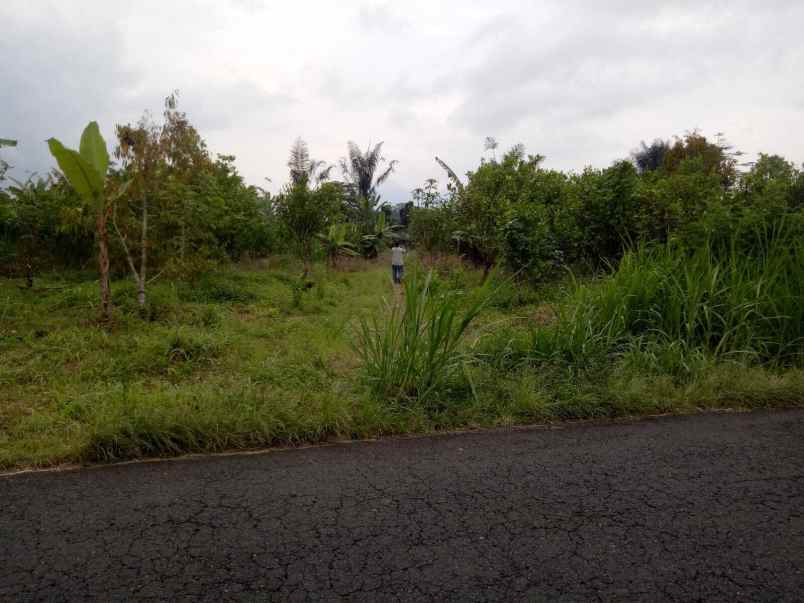 dijual tanah kintamani bangli bali