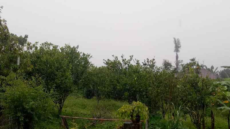 dijual tanah kintamani bangli bali