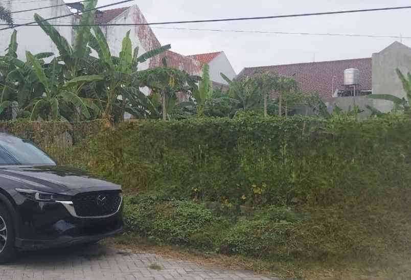 dijual tanah klampis semolo barat