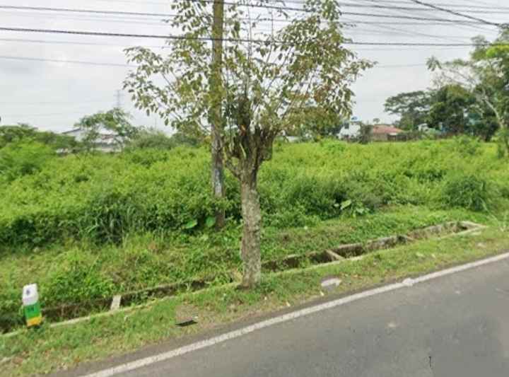 dijual tanah komersil pinggir jalan propinsi