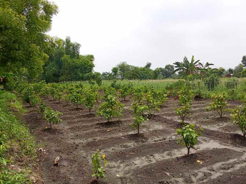 dijual tanah l29 dan l30