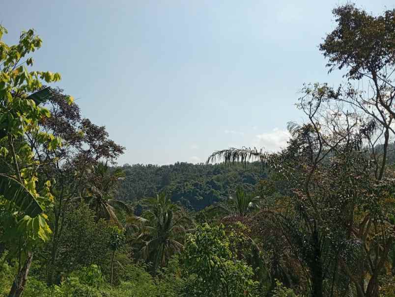 dijual tanah lalanglinggah selemadeg