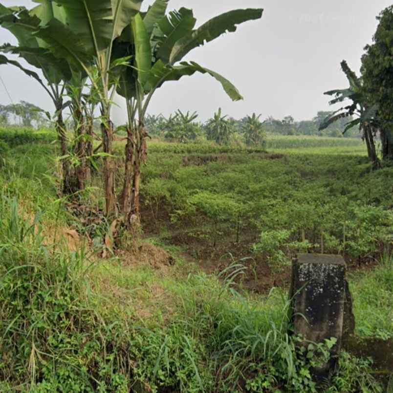 dijual tanah luas dan strategis di bogor dekat ke ipb