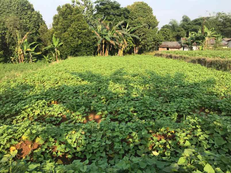 dijual tanah luas dan strategis di bogor dekat ke ipb