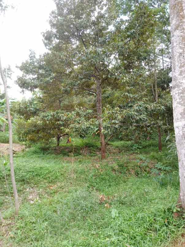 dijual tanah murah strategis