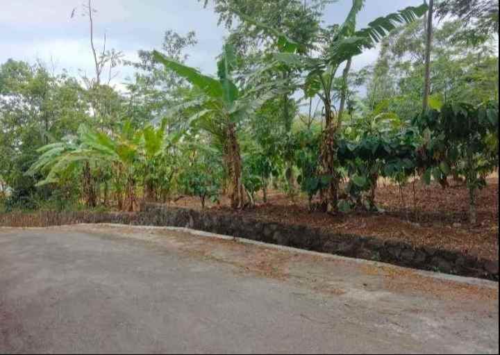 dijual tanah peusing cidomba kuningan