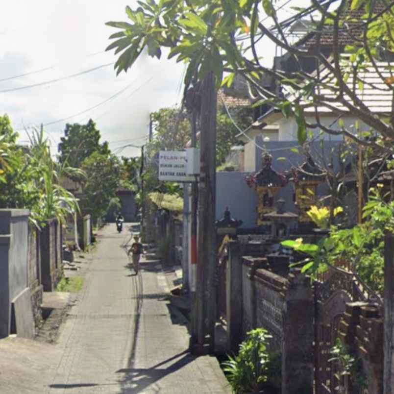 dijual tanah pulau moyo