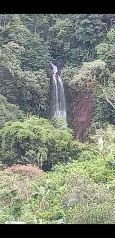 dijual tanah punjungan pupuan tabanan bali