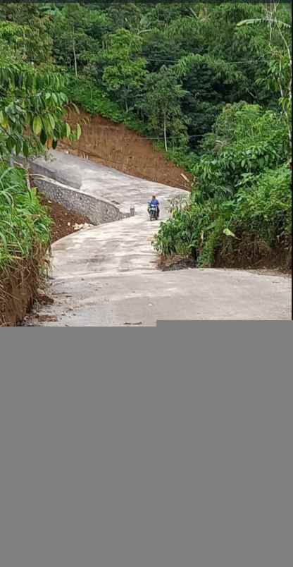 dijual tanah punjungan pupuan tabanan bali