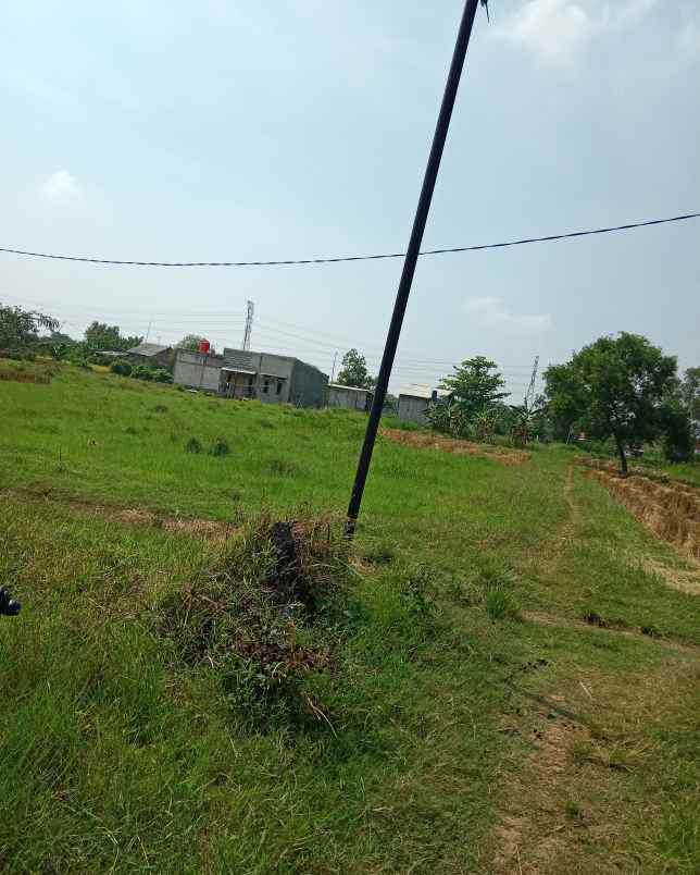 dijual tanah rawateratai margamulya