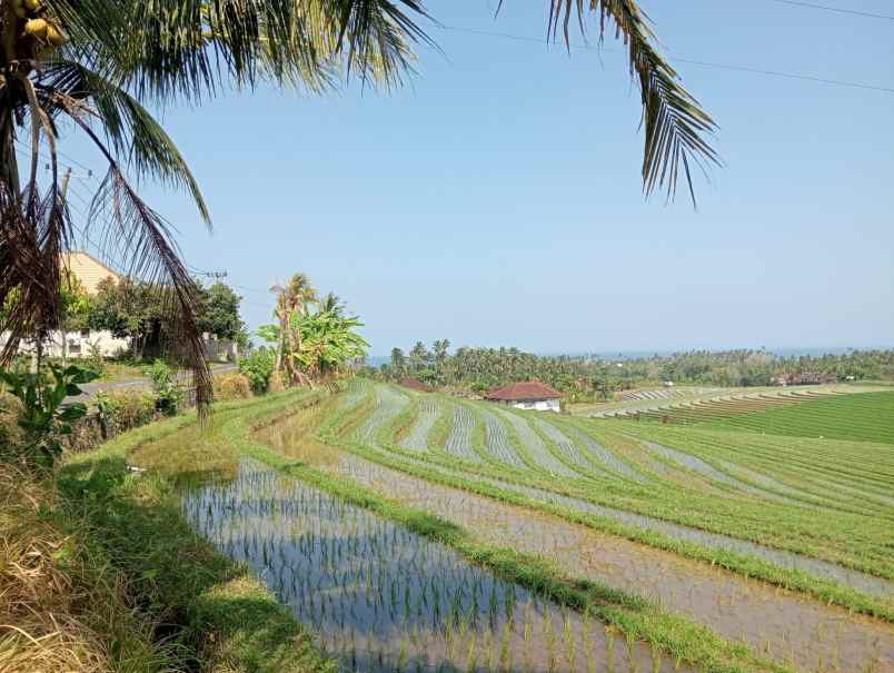 dijual tanah sawah view laut dan bukit balian