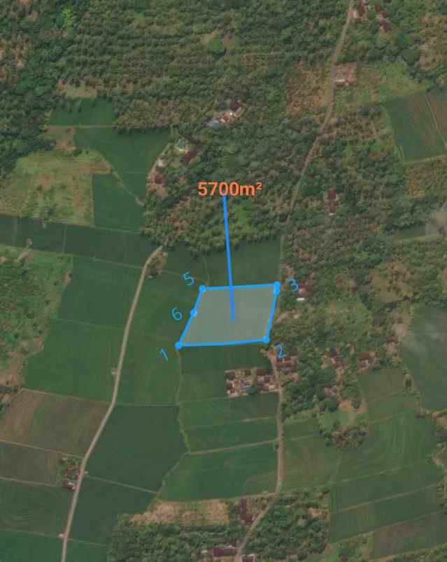 dijual tanah sawah view laut dan bukit balian