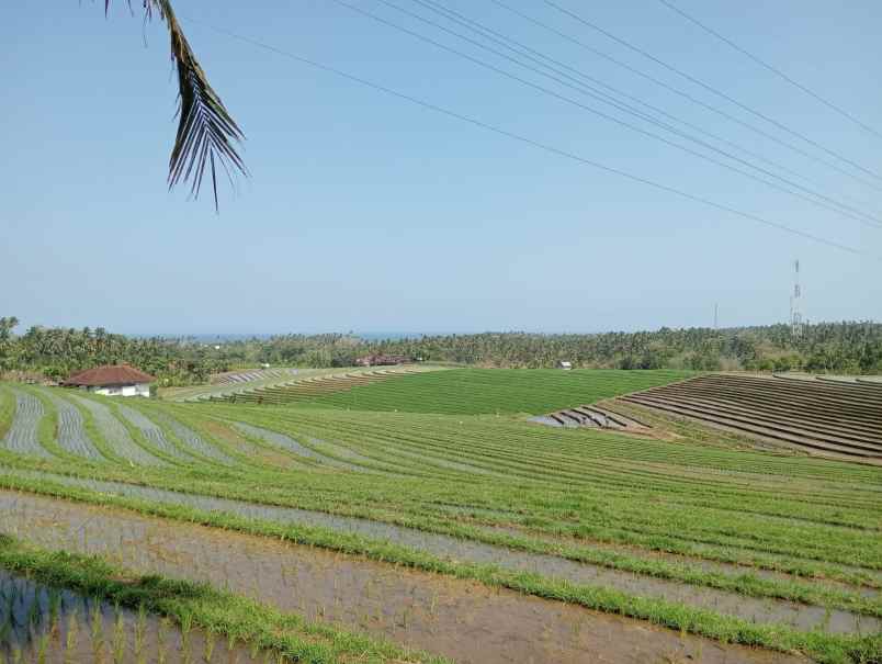 dijual tanah sawah view laut dan bukit balian