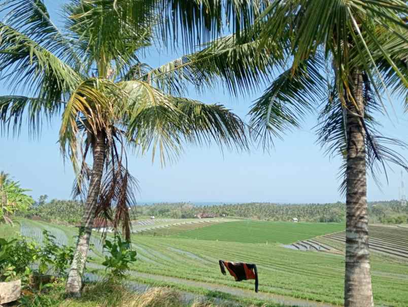 dijual tanah sawah view laut dan bukit balian