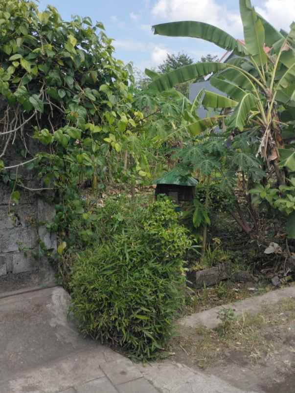 dijual tanah selingsing bantas