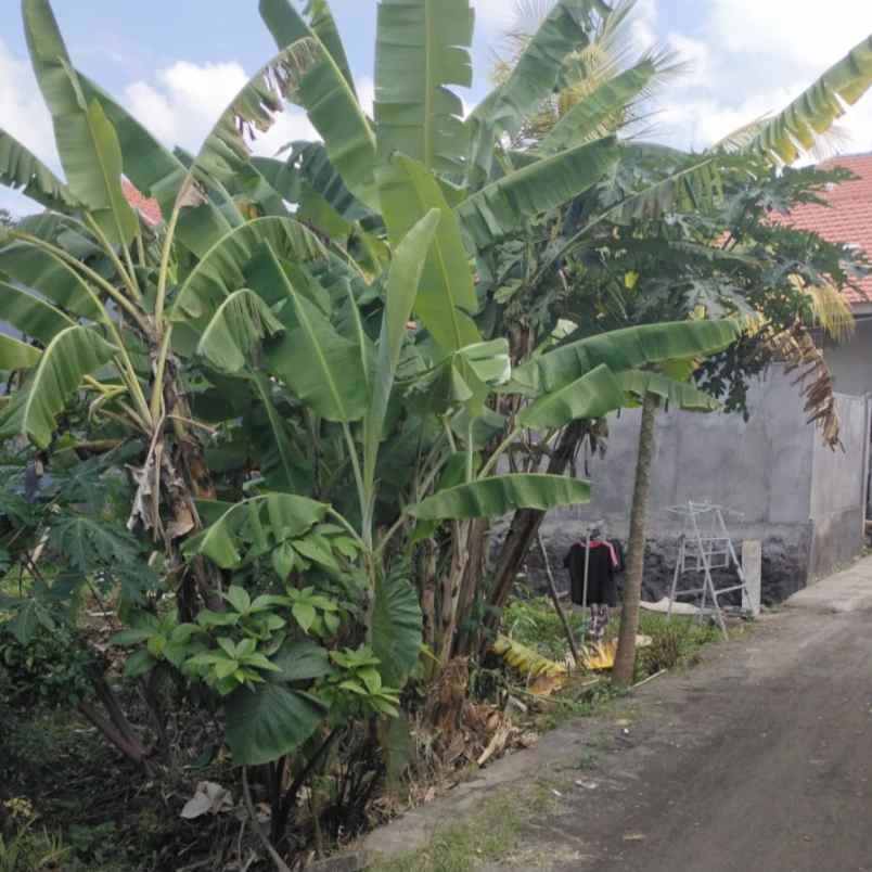 dijual tanah selingsing bantas