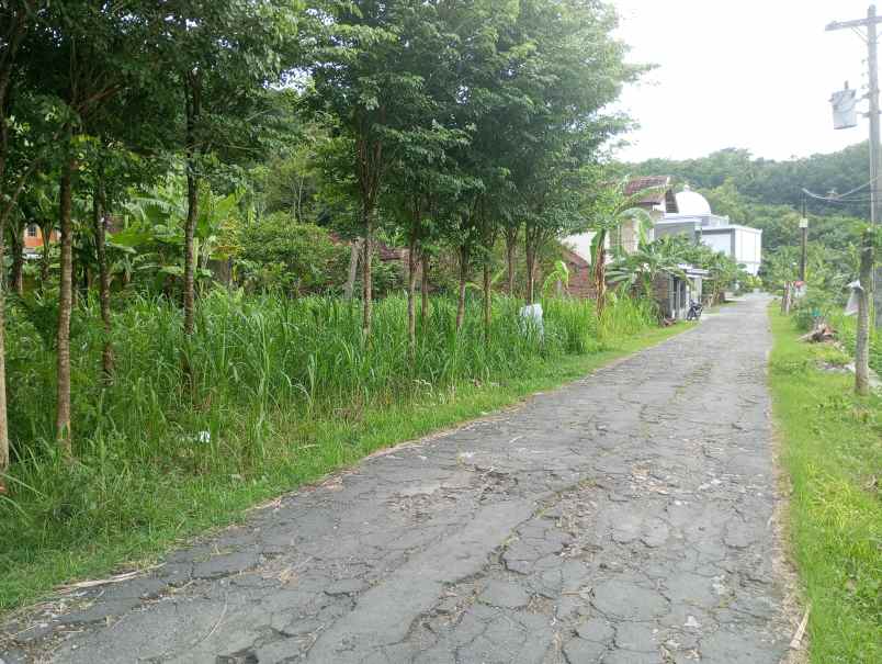 dijual tanah sengir sumberharjo kec